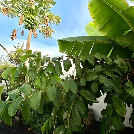 Lägenhet Paisaje Lunar Tinajo