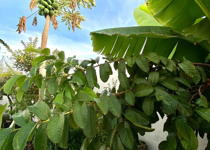 Lägenhet Paisaje Lunar Tinajo