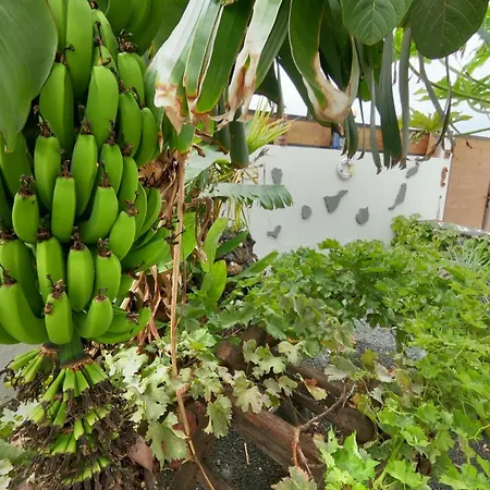 Paisaje Lunar Apartment *